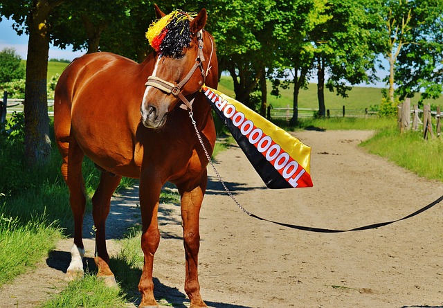 区旅客的免 区旅客的免