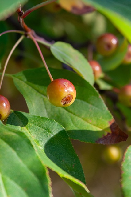 以找寻出真 以找寻出真